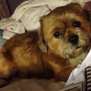 Meet your Posher, Sherry